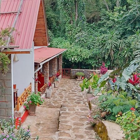 Mrefu Eco-Lodge Marangu エクステリア 写真