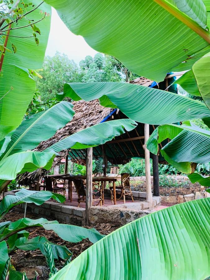 Mrefu Eco-Lodge Marangu エクステリア 写真