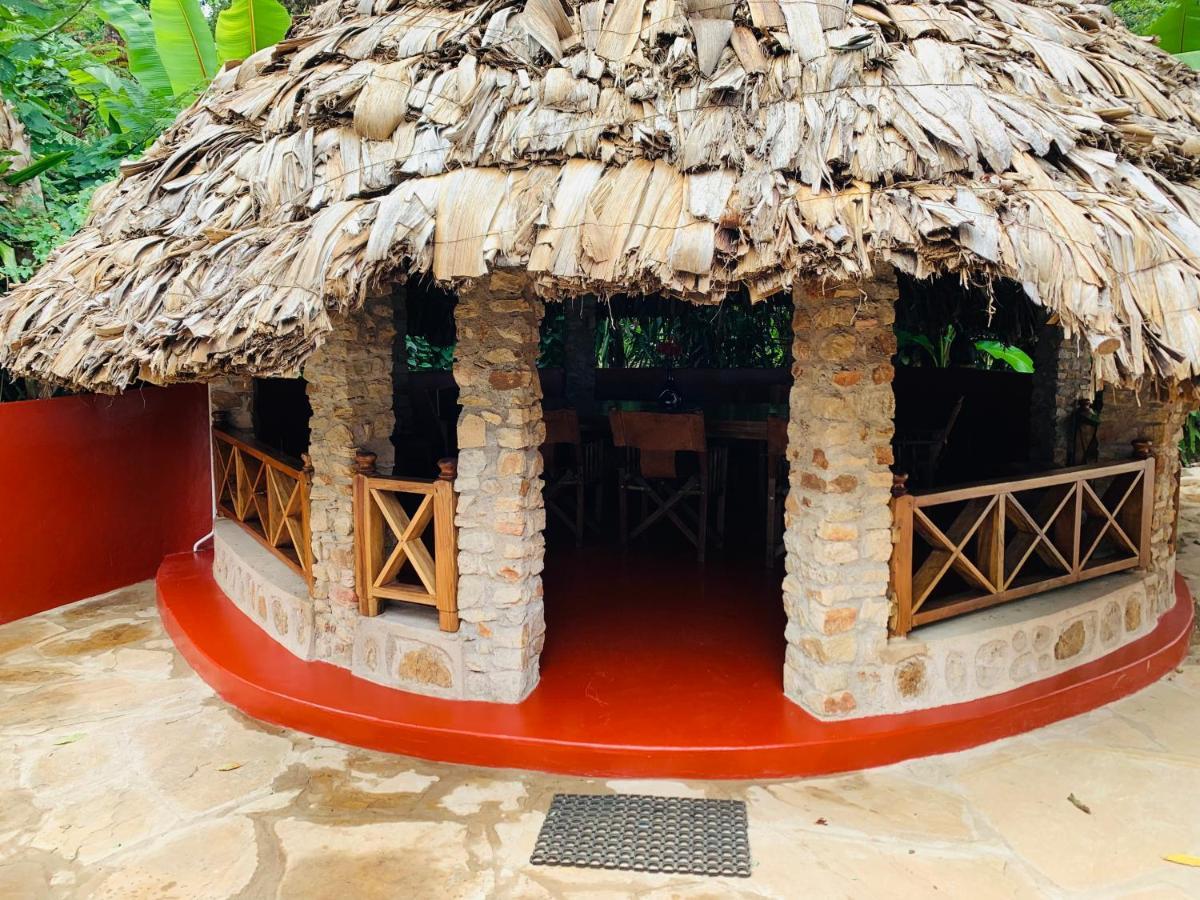 Mrefu Eco-Lodge Marangu エクステリア 写真