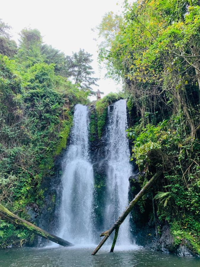 Mrefu Eco-Lodge Marangu エクステリア 写真