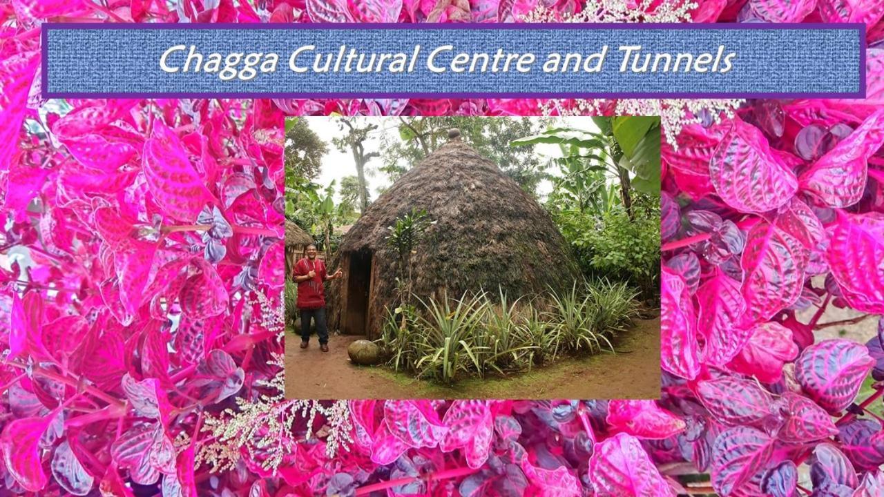 Mrefu Eco-Lodge Marangu エクステリア 写真