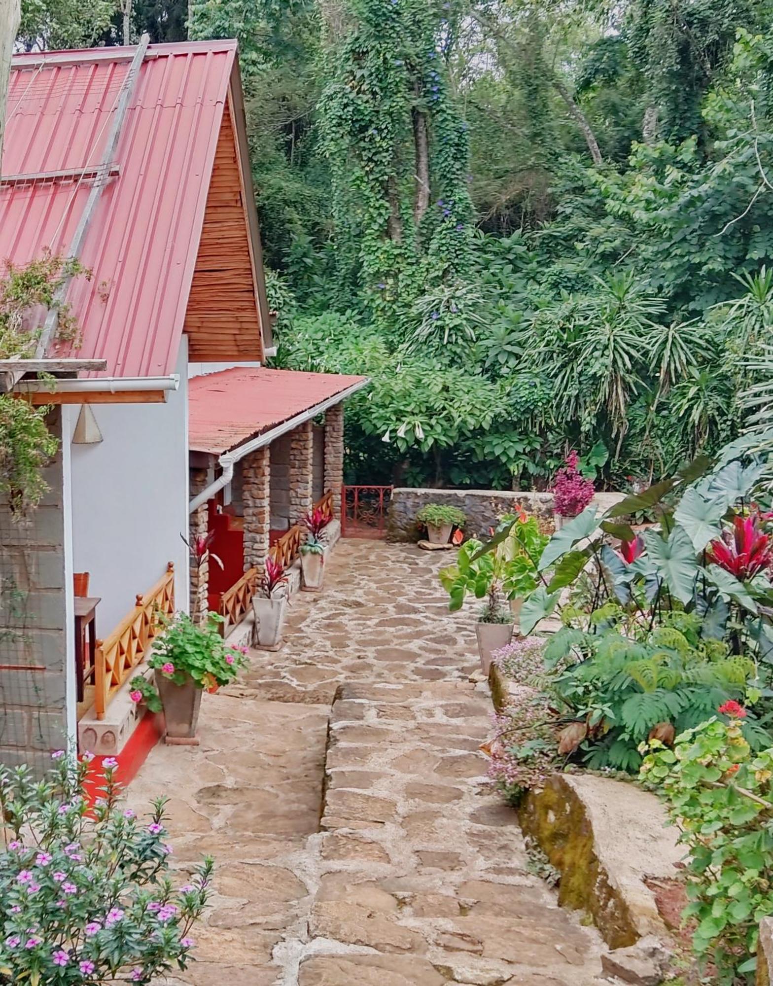 Mrefu Eco-Lodge Marangu エクステリア 写真